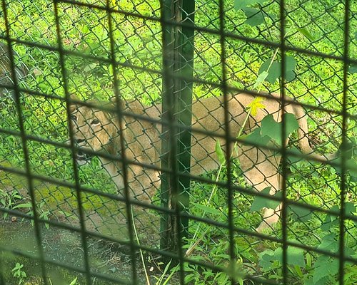 Sanjay Gandhi National Park Tour