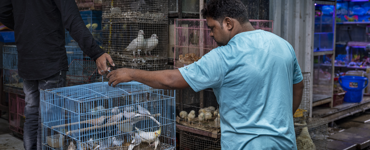 Mumbai Market Tour